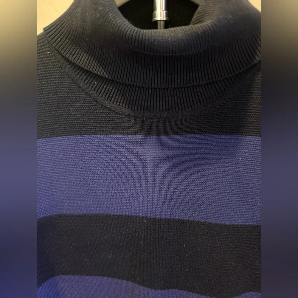 J. Crew Blue and Black Ribbed Turtleneck Sweater Dress
